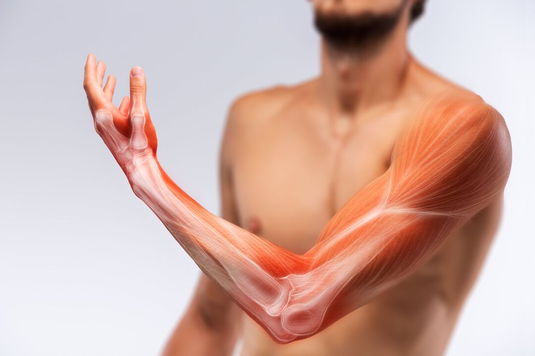 Handmuskeln und ihre Behandlung mit Congelum -Gelbehandlung
